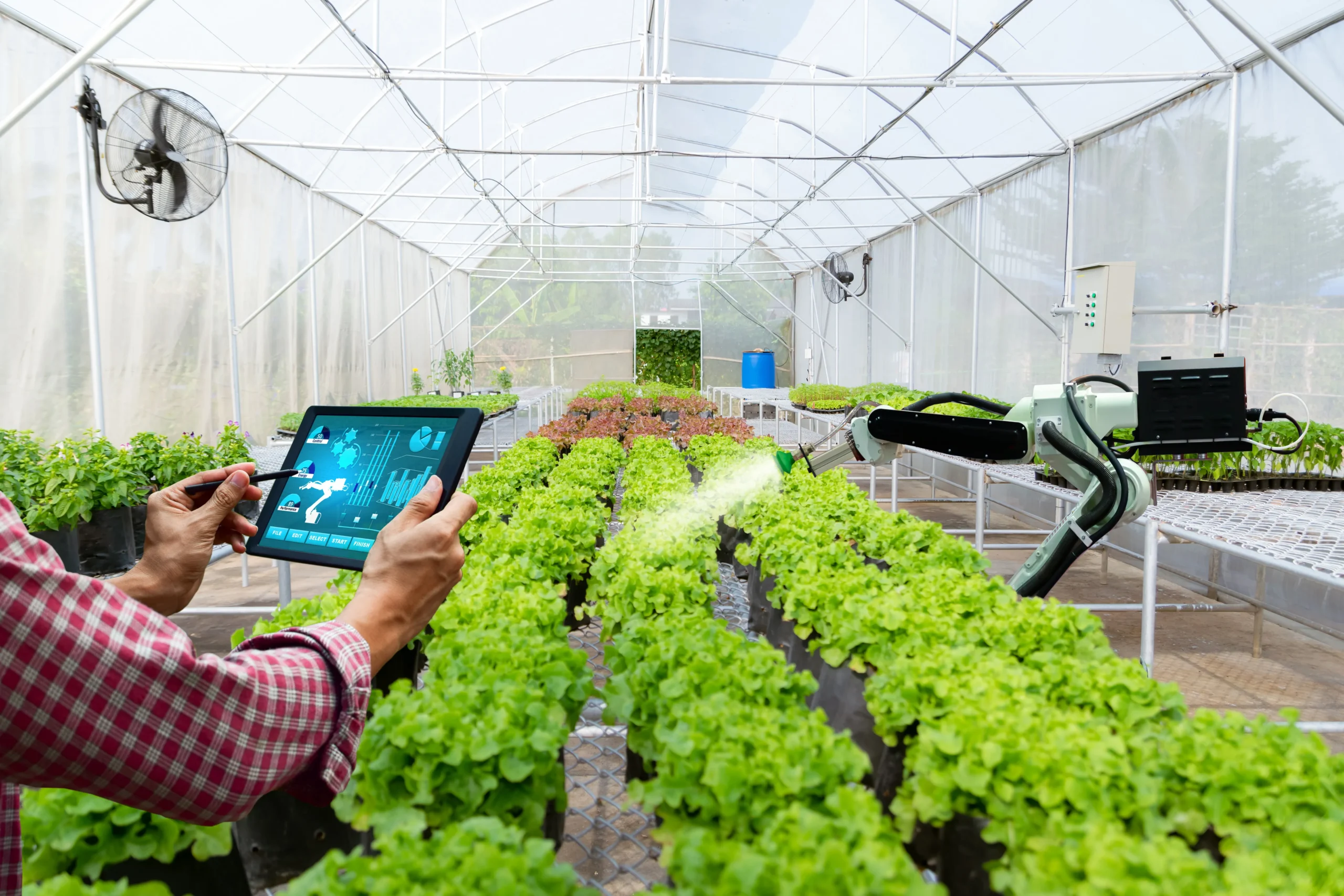 Nos últimos anos, o avanço da tecnologia no campo trouxe inovações significativas, incluindo o uso de robôs na agricultura. Sistemas autônomos para colheita, pulverização e monitoramento estão transformando a produtividade e a precisão das atividades rurais. No entanto, apesar do progresso, há muitas razões pelas quais os robôs não substituirão todos os trabalhadores rurais. Este artigo explora os limites da automação e o papel essencial dos humanos no agronegócio.