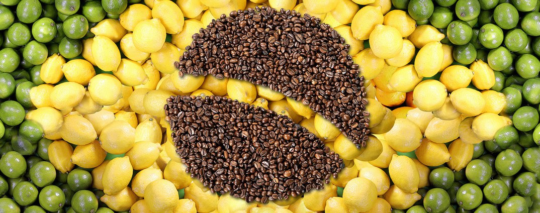 Segurança alimentar: O papel do Brasil no cenário global