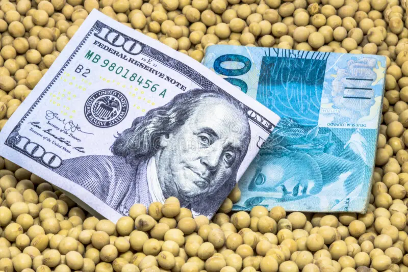 A desvalorização cambial é um dos fatores macroeconômicos mais relevantes para o agronegócio, afetando diretamente o custo de produção e, consequentemente, a competitividade dos produtores rurais. Para um setor que depende intensamente de insumos importados, como fertilizantes, defensivos agrícolas e maquinários, as oscilações na taxa de câmbio podem trazer desafios significativos. Neste artigo, exploramos como a desvalorização da moeda impacta o custo dos insumos agrícolas e o que produtores podem fazer para mitigar esses efeitos.