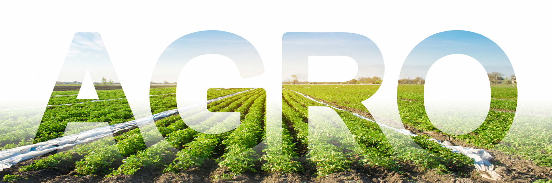 O ano de 2024 foi marcado por desafios e conquistas no setor do agronegócio, tanto no Brasil quanto no cenário internacional. Desde o impacto do Fenômeno El Niño até a adoção acelerada de tecnologias, este foi um ano que destacou a resiliência e a capacidade de adaptação do setor. Nesta retrospectiva, analisamos os principais eventos, avanços e perspectivas que moldaram o ano no campo.