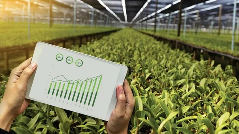 Em um mundo em constante mudança, a escolha das culturas certas para cultivo é decisiva para os agricultores que buscam maximizar seus lucros. Em 2024, fatores como avanços tecnológicos, demanda do mercado e preocupações ambientais estão moldando o cenário agrícola. Neste artigo, exploramos as culturas mais rentáveis no Brasil e no mundo, destacando oportunidades, desafios e tendências que estão definindo o futuro do agronegócio.