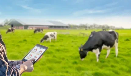 A pecuária, um dos pilares do agronegócio brasileiro, está passando por uma verdadeira transformação. Graças ao avanço tecnológico, o setor está adotando soluções que aumentam a produtividade, melhoram o bem-estar animal e reduzem o impacto ambiental. Neste artigo, exploramos as principais tecnologias que estão revolucionando a pecuária e tornando o setor mais eficiente e competitivo.