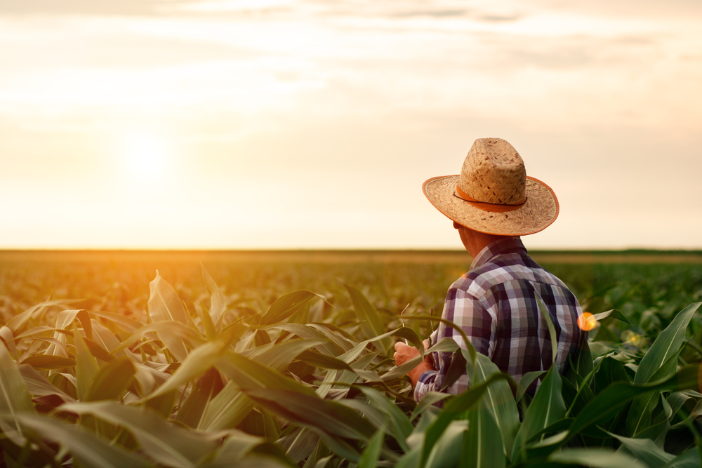 O agronegócio é um dos pilares da economia brasileira, mas os produtores rurais enfrentam desafios cada vez mais complexos em um cenário global de constantes transformações. Em 2024, fatores como mudanças climáticas, avanços tecnológicos e demandas por sustentabilidade impõe novas barreiras e exigem soluções criativas para garantir produtividade e competitividade.