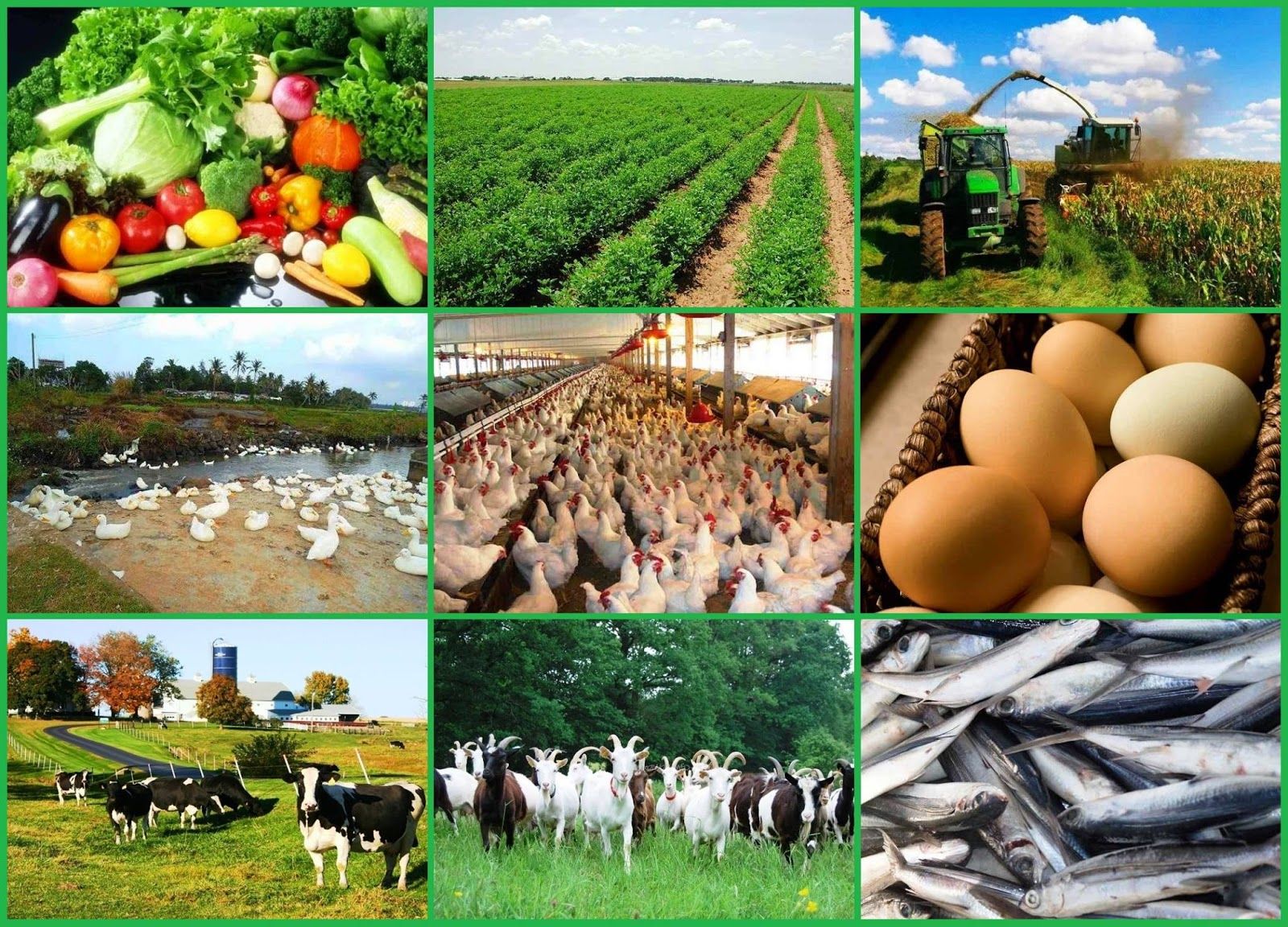 O ano de 2025 se apresenta como um período de desafios e oportunidades para o agronegócio, tanto no Brasil quanto no cenário global. Com o impacto de eventos climáticos, avanços tecnológicos e mudanças nas dinâmicas de mercado, o setor precisa estar preparado para navegar por um ambiente complexo e em constante transformação. Neste artigo, exploramos as principais tendências e os fatores que deverão moldar o agronegócio em 2025.