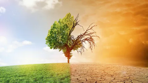 As mudanças climáticas estão moldando o futuro do agronegócio em todo o mundo. Com temperaturas crescentes, eventos climáticos extremos e alterações nos padrões de chuva, o setor agropecuário enfrenta desafios sem precedentes. Os próximos 20 anos serão cruciais para determinar como a agricultura se adaptará a essas transformações e garantirá a segurança alimentar global. Neste artigo, exploramos os impactos das mudanças climáticas no agro, às ameaças emergentes e as soluções em desenvolvimento para mitigar esses efeitos.