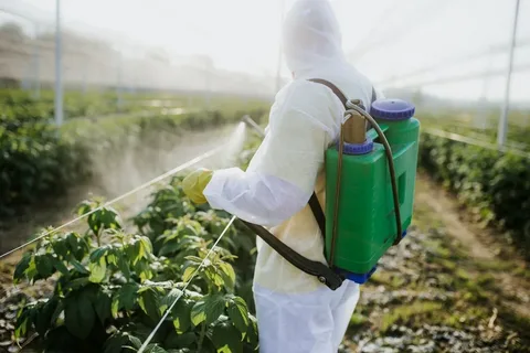 O uso de agrotóxicos na agricultura é um tema amplamente debatido, especialmente devido aos seus impactos na saúde humana e no meio ambiente. Nos últimos anos, a busca por alternativas naturais aos agrotóxicos tem ganhado espaço, impulsionada por consumidores mais conscientes e pela necessidade de uma produção agrícola mais sustentável. Mas até que ponto essas soluções são eficazes? Este artigo explora as principais alternativas aos agrotóxicos, seus benefícios e limitações, e analisa se elas realmente funcionam no contexto da agricultura moderna.