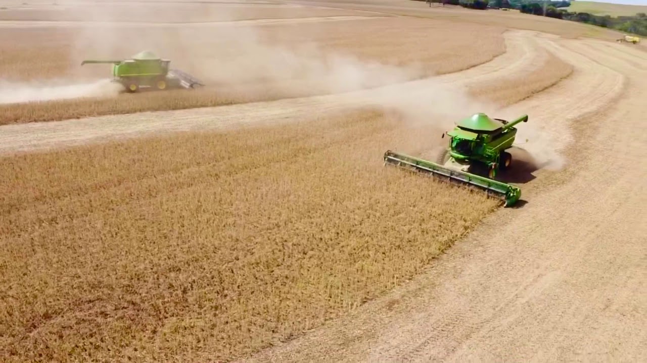 Nos últimos anos, o mundo tem testemunhado colheitas recordes em diversas regiões, alimentando a crescente demanda global por alimentos, rações e biocombustíveis. Mas o que está impulsionando esses resultados excepcionais? A resposta não está apenas no campo, mas também nas estratégias, tecnologias e políticas que estão transformando o agronegócio. Neste artigo, exploramos os principais fatores que estão por trás dessas colheitas históricas e o que podemos esperar para o futuro.