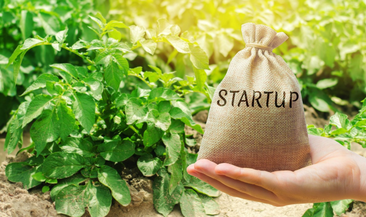 A revolução tecnológica chegou ao campo, trazendo soluções inovadoras para desafios antigos e emergentes do agronegócio. As startups, conhecidas como agritechs, estão no centro dessa transformação, desenvolvendo tecnologias que otimizam processos, aumentam a produtividade e promovem a sustentabilidade no setor. Este artigo explora como essas empresas estão moldando o futuro do agro e destacamos algumas das inovações mais impactantes.