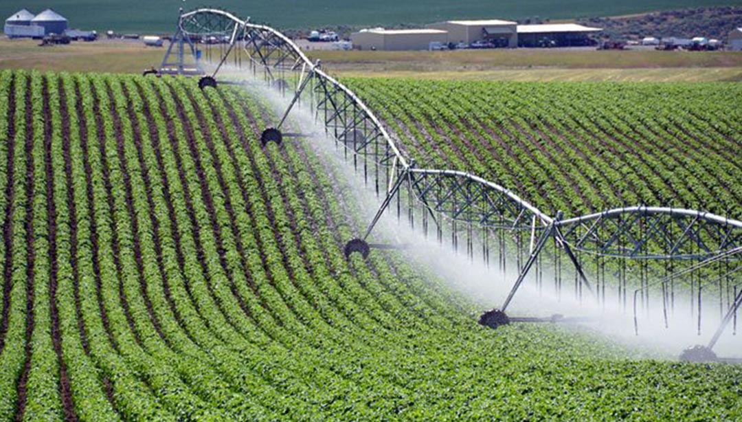 Irrigação de precisão: as 5 melhores inovações no campo