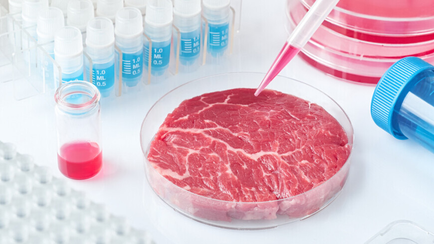 O futuro da alimentação: carne artificial e agricultura celular