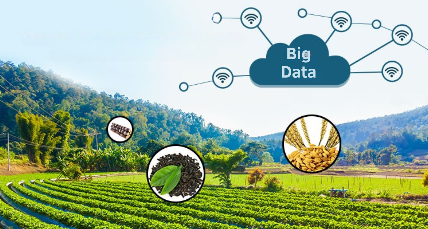 Big Data no Agro: Transformando Dados em Lucros no Campo