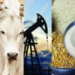 Commodities Agrícolas 2025: Panorama Mensal e Projeções