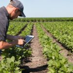 Como a consultoria especializada pode elevar os resultados na propriedade rural: foco em engenharia de produto, P&D e mecanização agrícola.